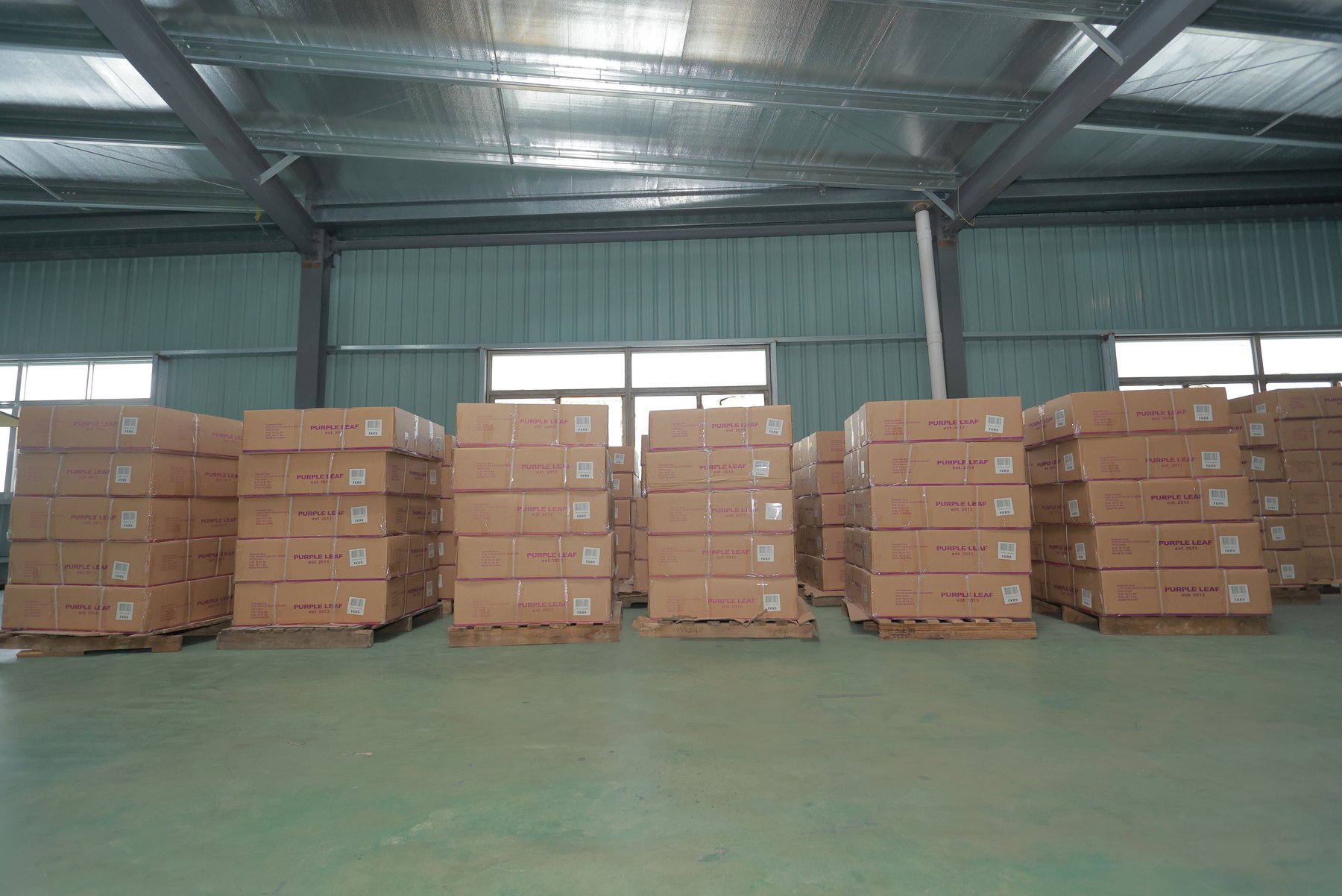 Packed Solargy commercial umbrella products organized for shipment